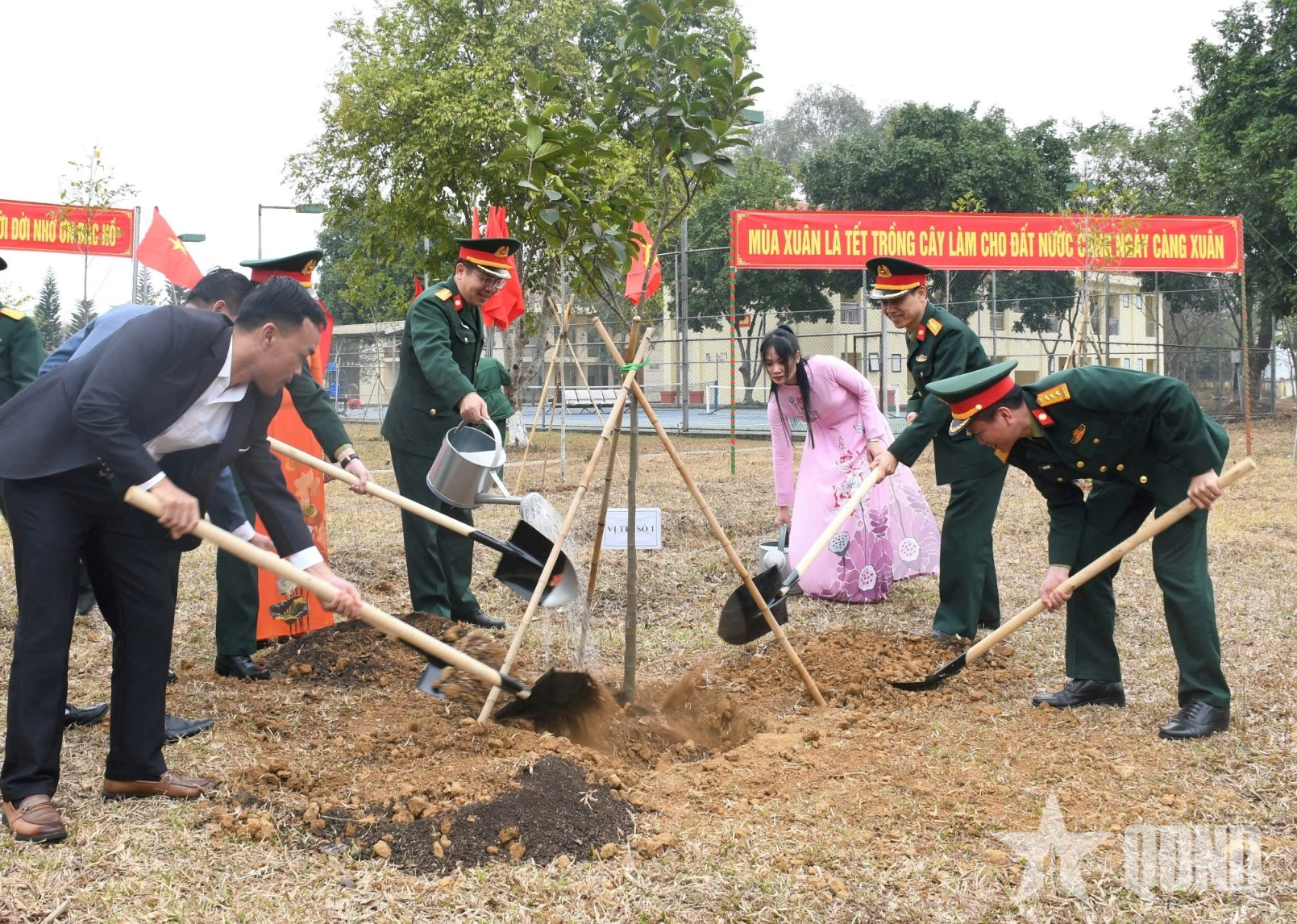 Lữ đoàn 139 phát động Tết trồng cây Xuân Ất Tỵ 2025